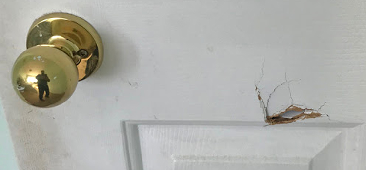interior door hole repair August
