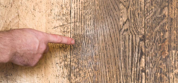 Wood Door Scratch Repair in August